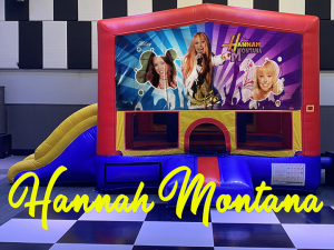 Hannah Montana copy 720 Kids Parties Large Suite