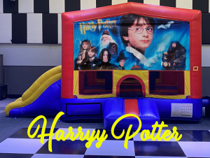 Harry Potter Combo copy 720 Kids Parties Large Suite