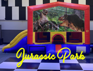 Jurassic Park Comb copy 720 Kids Parties Large Suite
