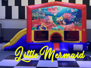 Little Marmaid Combo copy 720 Kids Parties Large Suite