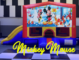 Mickey Mouse Combo copy 720 Kids Parties Large Suite