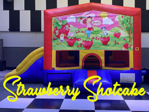 Strawberry Short Cake copy 720 Kids Parties Large Suite