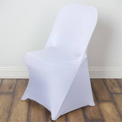 Chair & Spandex Cover