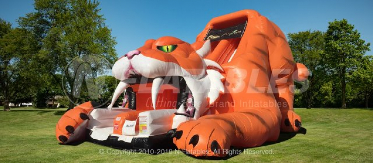 20' Tiger Slide